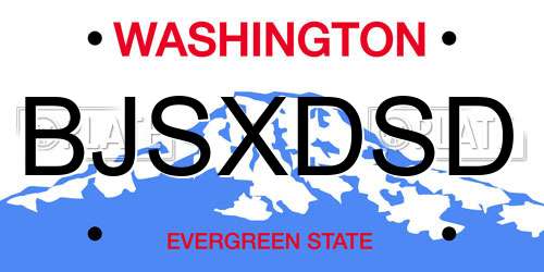 BJSXDSD Washington License Plate