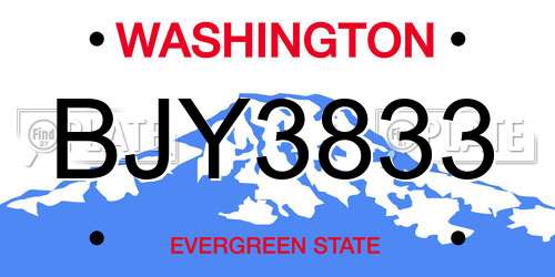 BJY3833 Washington License Plate