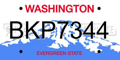 BKP7344 Washington License Plate