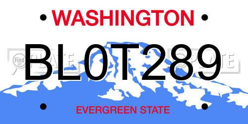 BL0T289 Washington License Plate