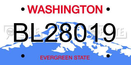 BL28019 Washington License Plate