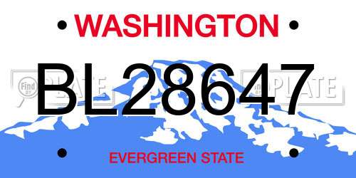 BL28647 Washington License Plate