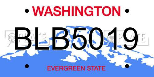 BLB5019 Washington License Plate