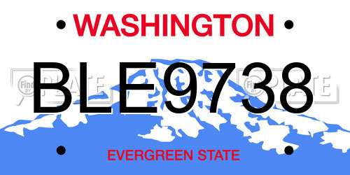 BLE9738 Washington License Plate