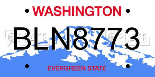 BLN8773 Washington License Plate