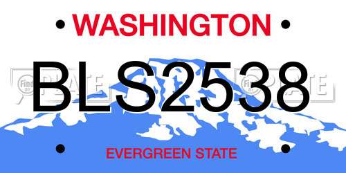 BLS2538 Washington License Plate