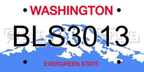 BLS3013 Washington License Plate