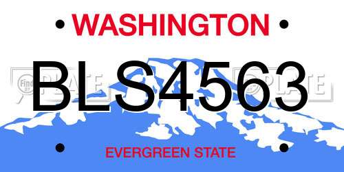 BLS4563 Washington License Plate