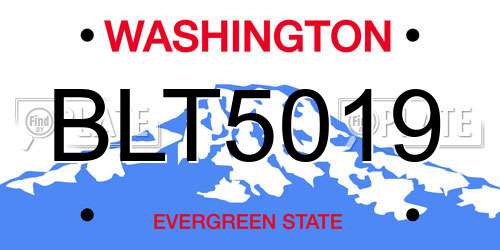 BLT5019 Washington License Plate