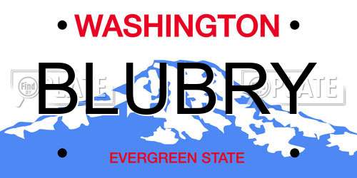 BLUBRY Washington License Plate