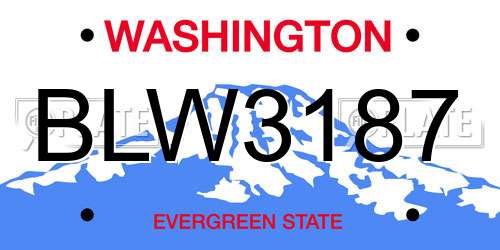BLW3187 Washington License Plate