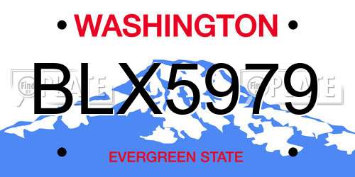 BLX5979 Washington License Plate