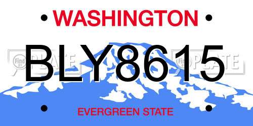 BLY8615 Washington License Plate