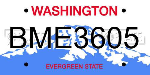 BME3605 Washington License Plate