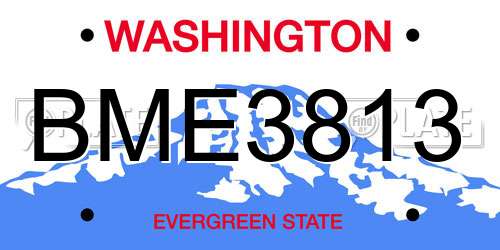 BME3813 Washington License Plate