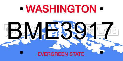 BME3917 Washington License Plate