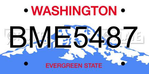 BME5487 Washington License Plate