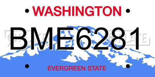 BME6281 Washington License Plate
