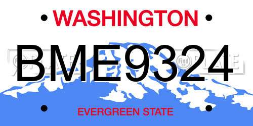 BME9324 Washington License Plate