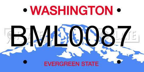 BML0087 Washington License Plate