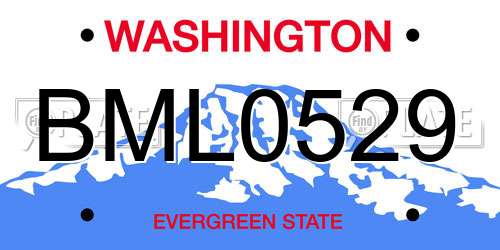 BML0529 Washington License Plate