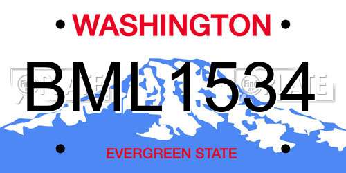 BML1534 Washington License Plate