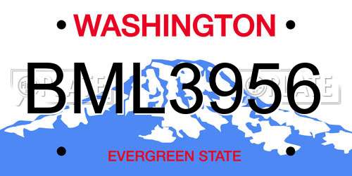 BML3956 Washington License Plate