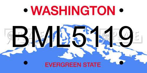 BML5119 Washington License Plate