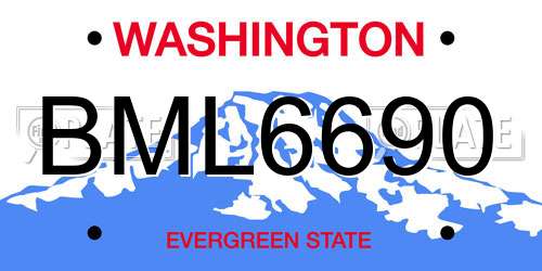BML6690 Washington License Plate