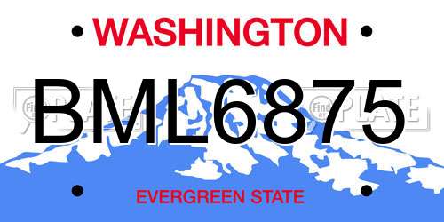 BML6875 Washington License Plate