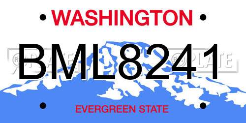 BML8241 Washington License Plate