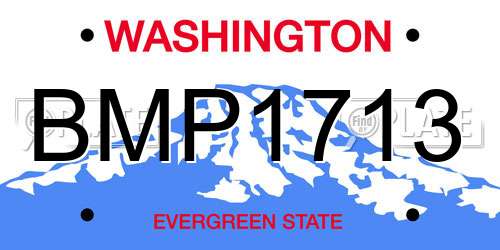 BMP1713 Washington License Plate