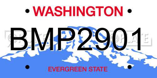 BMP2901 Washington License Plate