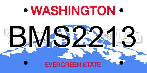 BMS2213 Washington License Plate