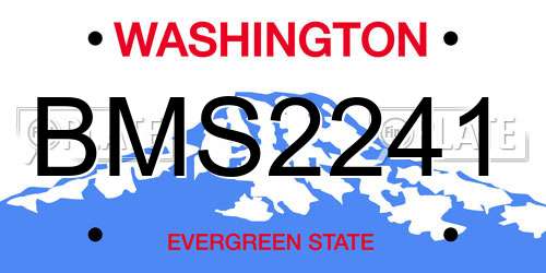BMS2241 Washington License Plate