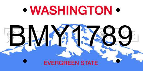 BMY1789 Washington License Plate