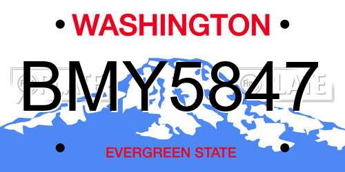 BMY5847 Washington License Plate