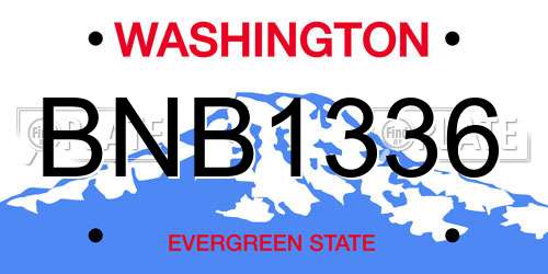 BNB1336 Washington License Plate