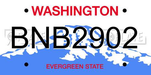 BNB2902 Washington License Plate