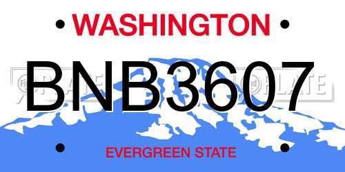 BNB3607 Washington License Plate