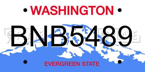 BNB5489 Washington License Plate