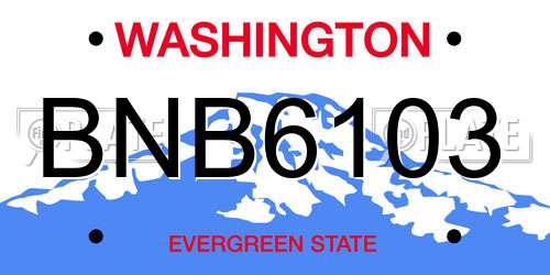 BNB6103 Washington License Plate