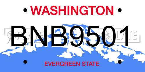BNB9501 Washington License Plate