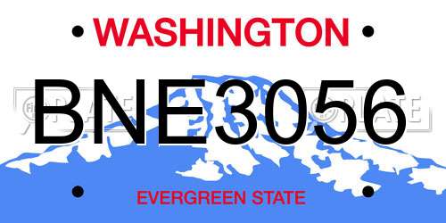 BNE3056 Washington License Plate