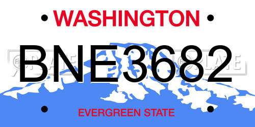 BNE3682 Washington License Plate
