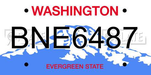 BNE6487 Washington License Plate