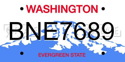 BNE7689 Washington License Plate