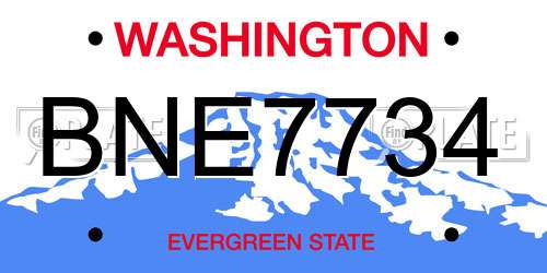 BNE7734 Washington License Plate