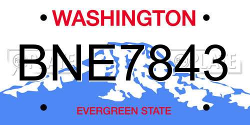 BNE7843 Washington License Plate