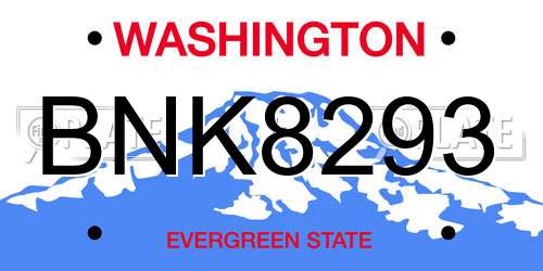 BNK8293 Washington License Plate